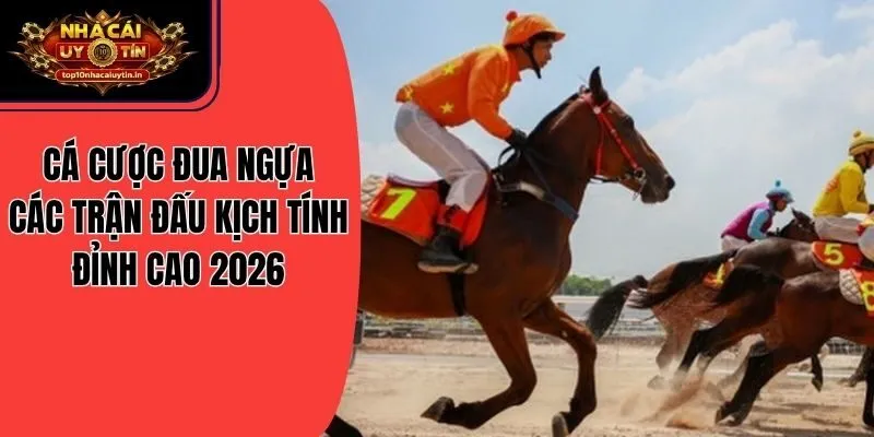 Cá Cược Đua Ngựa – Các Trận Đấu Kịch Tính Đỉnh Cao 2026