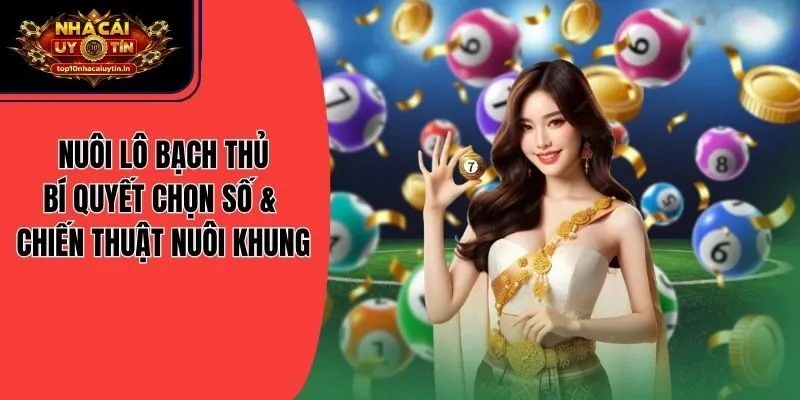 Nuôi Lô Bạch Thủ: Bí Quyết Chọn Số & Chiến Thuật Nuôi Khung