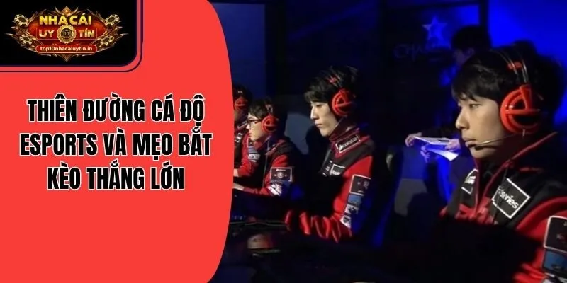 Thiên Đường Cá Độ Esports Và Mẹo Bắt Kèo Thắng Lớn